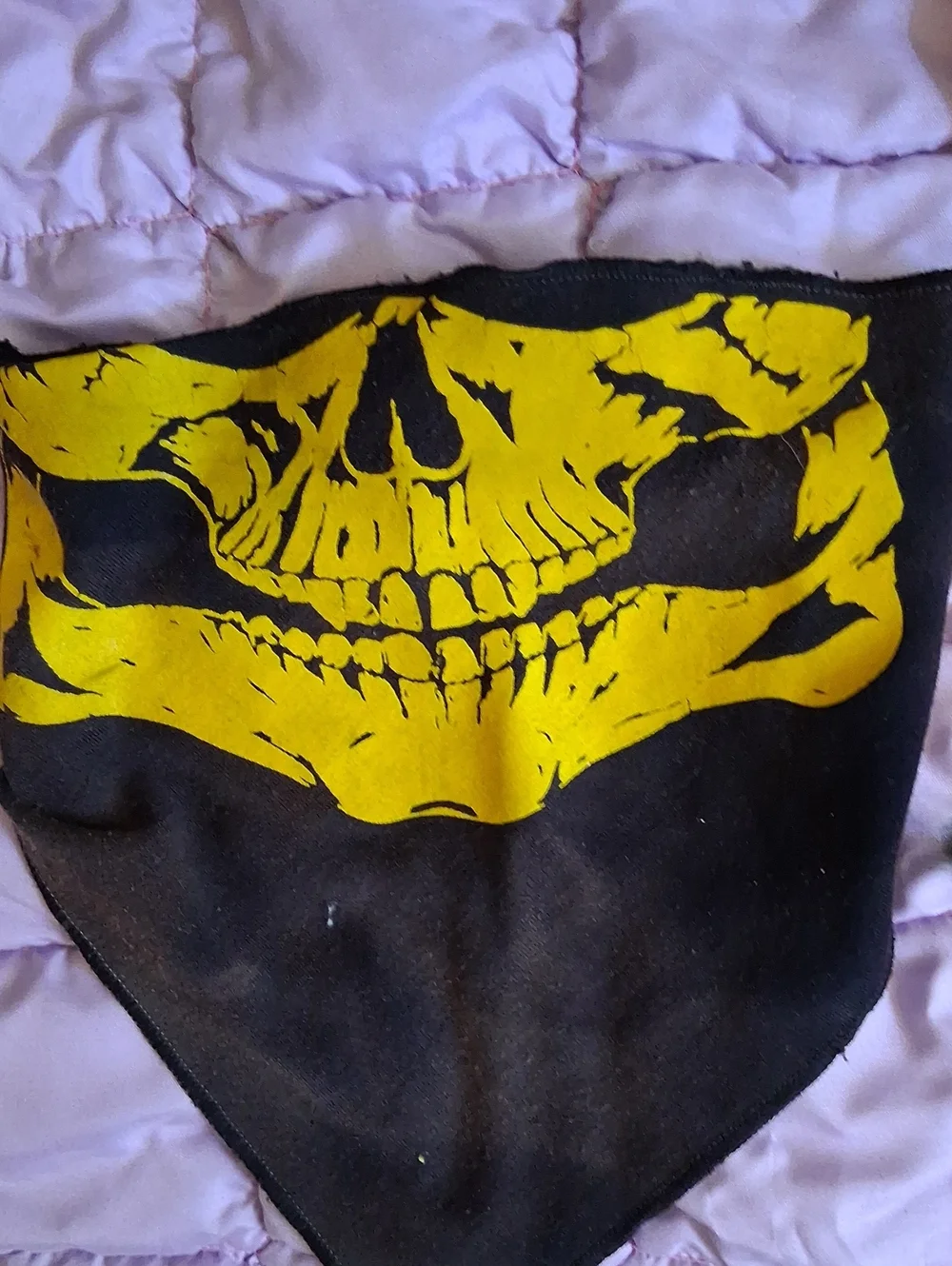 Biker Face Mask